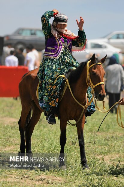festival
