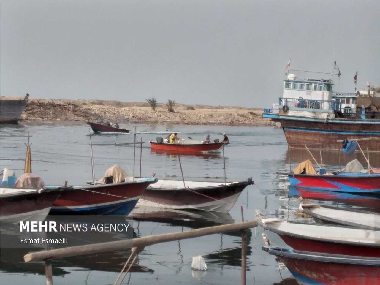 صيد،صيادي،استان،آبزيان،ذخاير،بوشهر،طرح،دريا،دريايي،خليج،فارس ...