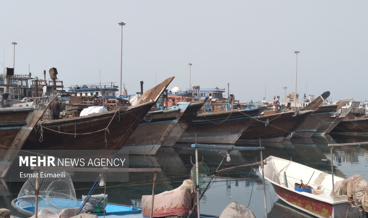 «دریابست» در استان بوشهر؛ ممنوعیت صید برای حفظ ذخائر آبزیان