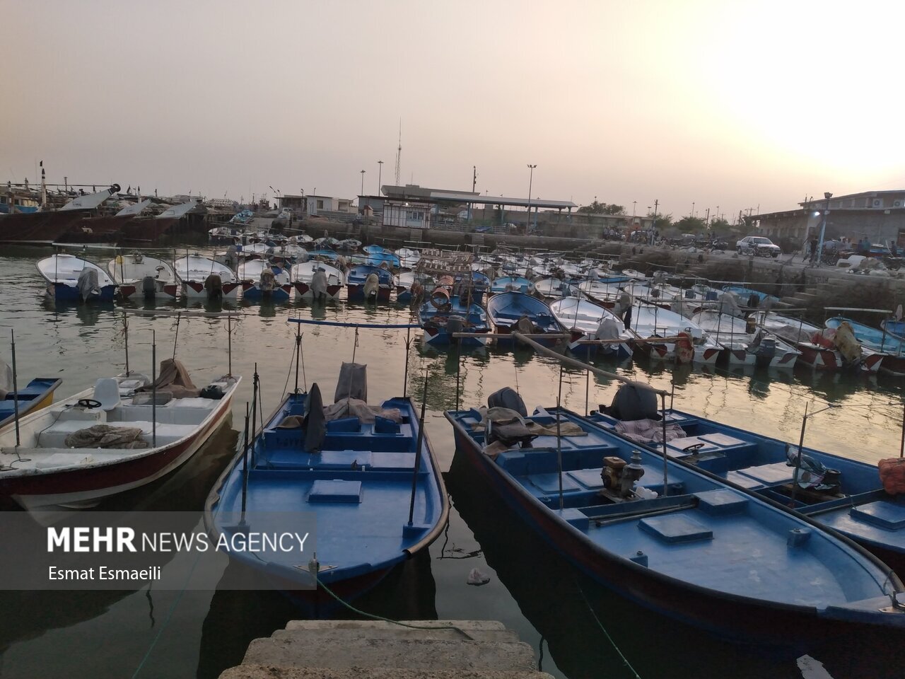 «دریابست» در استان بوشهر؛ ممنوعیت صید برای حفظ ذخائر آبزیان