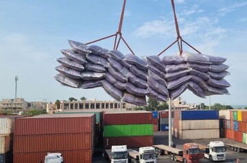 جابجایی ۱۴۱ هزار تن کالای اساسی در استان بوشهر