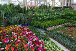 Inaugural ceremony of 20th Tehran Flower and Plant Exhibition