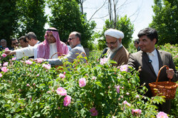 دهمین جشنواره گل محمدی در مشهد