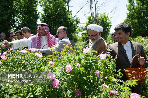 دهمین جشنواره گل محمدی در مشهد