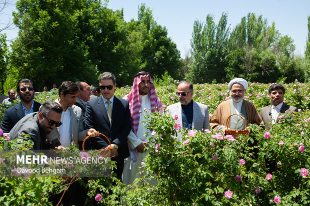 دهمین جشنواره گل محمدی در مشهد