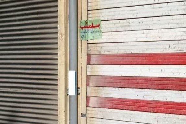 رباط،كريم،صنفي،واحد