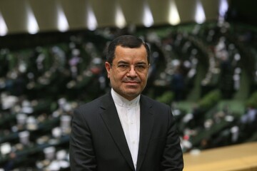 احمدی : وضعیت عفاف و حجاب نابسامان است؛ با مسببان برهنگی برخورد شود