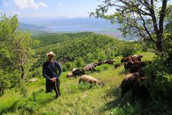 Bir turizm cenneti; Merivan