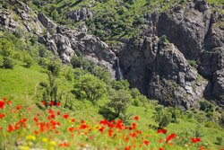 «طلایه‌داران توسعه پایدار» نخستین انجمن خیرین منابع طبیعی استان سمنان