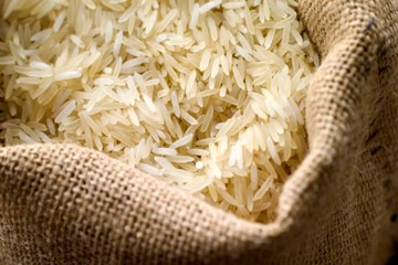 استاندارد اجباری برای برنج مازندران تدوین شود