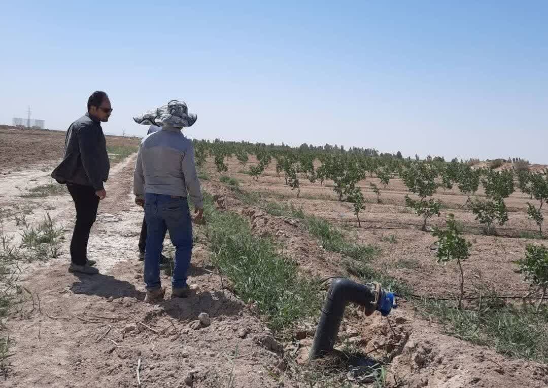 بابيان،آبياري،نوين،كشاورزي،اجراي،گرمسار