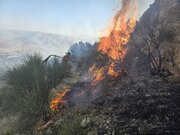 آتش سوزی مراتع در چرام