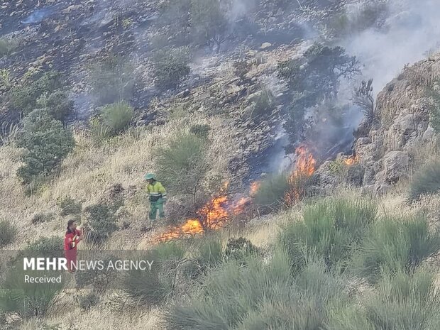 آتش سوزی کوه دراک شیراز مهار شد