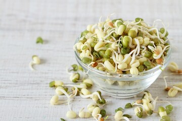 جوانه ماش؛ بمب ویتامین و پروتئین