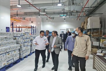 بازدید رئیس سازمان حج از ستاد اجرایی ایران در شهر مکه