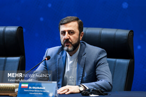 کاظم غریب‌آبادی در مجمع آمبودزمان های کشورهای عضو سازمان همکاری اسلامی