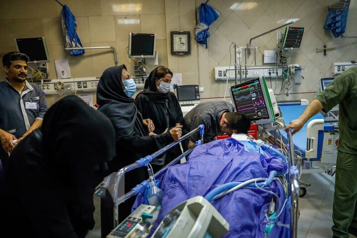 «شیراز» قطب پیوند اعضا با ۱۶ هزار عمل؛ جنگ هم پیوند عضو را تعطیل نکرد