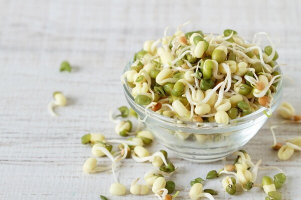 جوانه ماش؛ بمب ویتامین و پروتئین