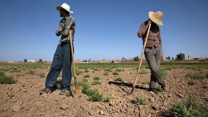 قطعی برق در دمای ۴۵ درجه جنوب کرمان و خاموشی پمپهای کشاورزی قطعی برق در دمای ۴۵ درجه جنوب کرمان و خاموشی پمپهای کشاورزی