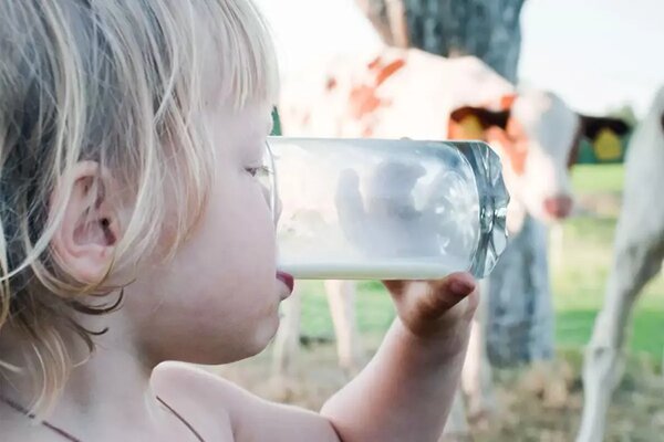 لبنیات سنتی بخوریم یا پاستوریزه؟ لبنیات سنتی بخوریم یا پاستوریزه؟