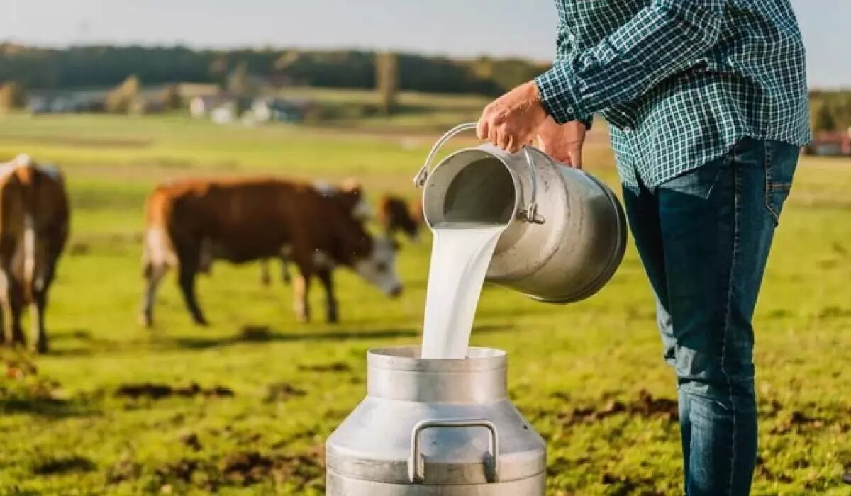 مدیرکل دامپزشکی ایلام:بیماریهای مرتبط با مصرف شیر خام در ایلام بالاست