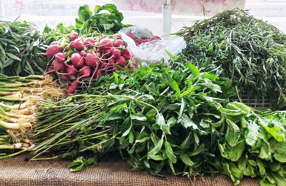 تعزيرات،حكومتي،ميبد،تخلف