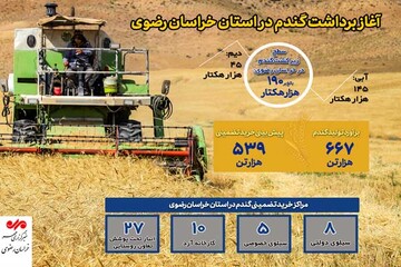 اینفوگرافیک| آغاز برداشت گندم از مزارع خراسان رضوی