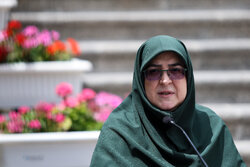 مهاجرانی: دولت مصمم به بازگشت اتباع غیرمجاز است