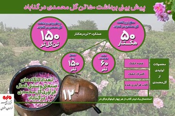 اینفوگرافیک| پیش‌بینی برداشت ۱۵۰ تن گل محمدی در گناباد