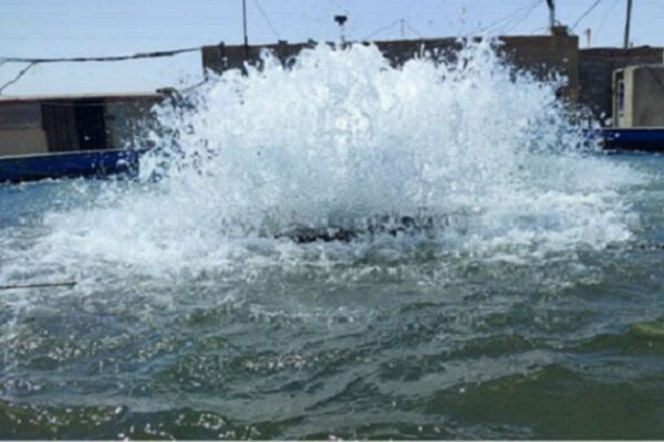 سد ماملو در آستانه خشکی؛ تشنگی جنوب شرق تهران را تهدید میکند