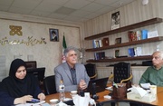 بحران سالمندی در کمین شاهرود و میامی؛ نرخ باروری به ۱.۴۳ سقوط کرد