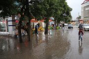 بارش باران در کرمانشاه همزمان با بیست و پنجمین روز از تیرماه ۱۴۰۴