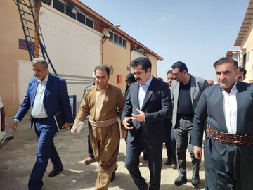 قول معاون رئیس‌جمهور برای راه‌اندازی کتابخانه سیار در روانسر