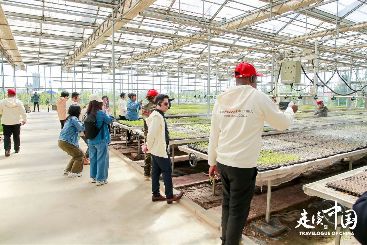 China's Green Agricultural Revolution is rooted in internal Mongolia