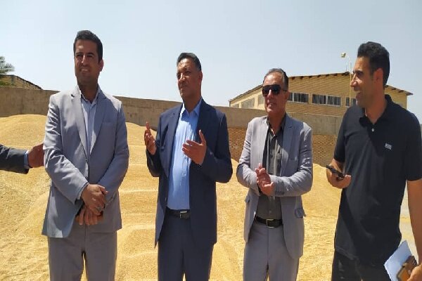 كهگيلويه،شهرستان،كشاورزي،گندم،جهاد،شرايط،استان،سيلو،فرماندار ...