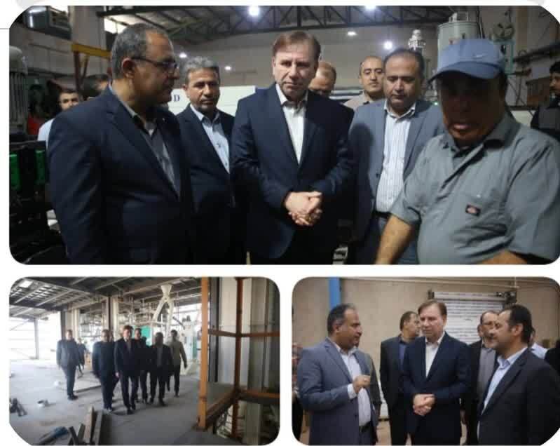 توليد،بوشهر،شعار،بازديد،تحقق،مشكلات