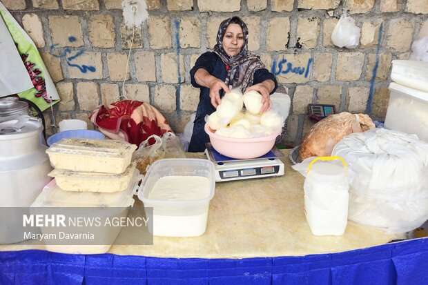 همایش پیاده روی خانوادگی روستای ارکان بجنورد