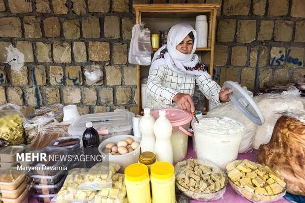 همایش پیاده روی خانوادگی روستای ارکان بجنورد