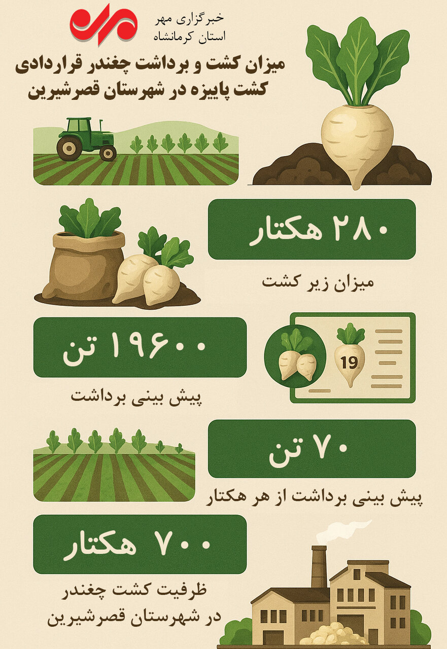 اینفوگرافیک| میزان کشت چغندر قراردادی در شهرستان قصرشیرین