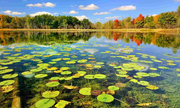 Iran designates May 21 as "National Day of Ecotourism"