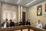 لزوم برنامه‌ریزی بلندمدت و همکاری برای داشتن هوای بهتر در تهران