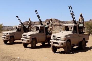 US army panicked after Yemenis nearly downed F-35: Media