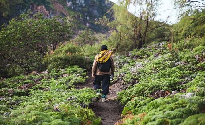 Iran will specify May 21st "Ecotourism nationwide day"