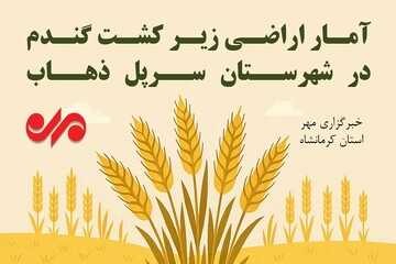 اینفوگرافیک| پیش‌بینی برداشت بیش از ۱۰۰هزار تن گندم از مزارع سرپل‌ذهاب