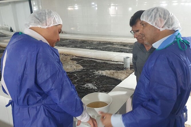 تولید ۲ برابری بچه میگو در استان بوشهر تولید ۲ برابری بچه میگو در استان بوشهر