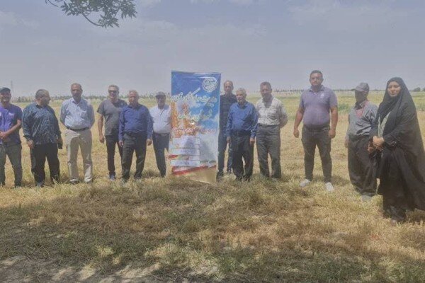كشاورزي،دوره،سوزاندن،بهارستان،كشاورزان،آموزشي،مديريت،جودكي