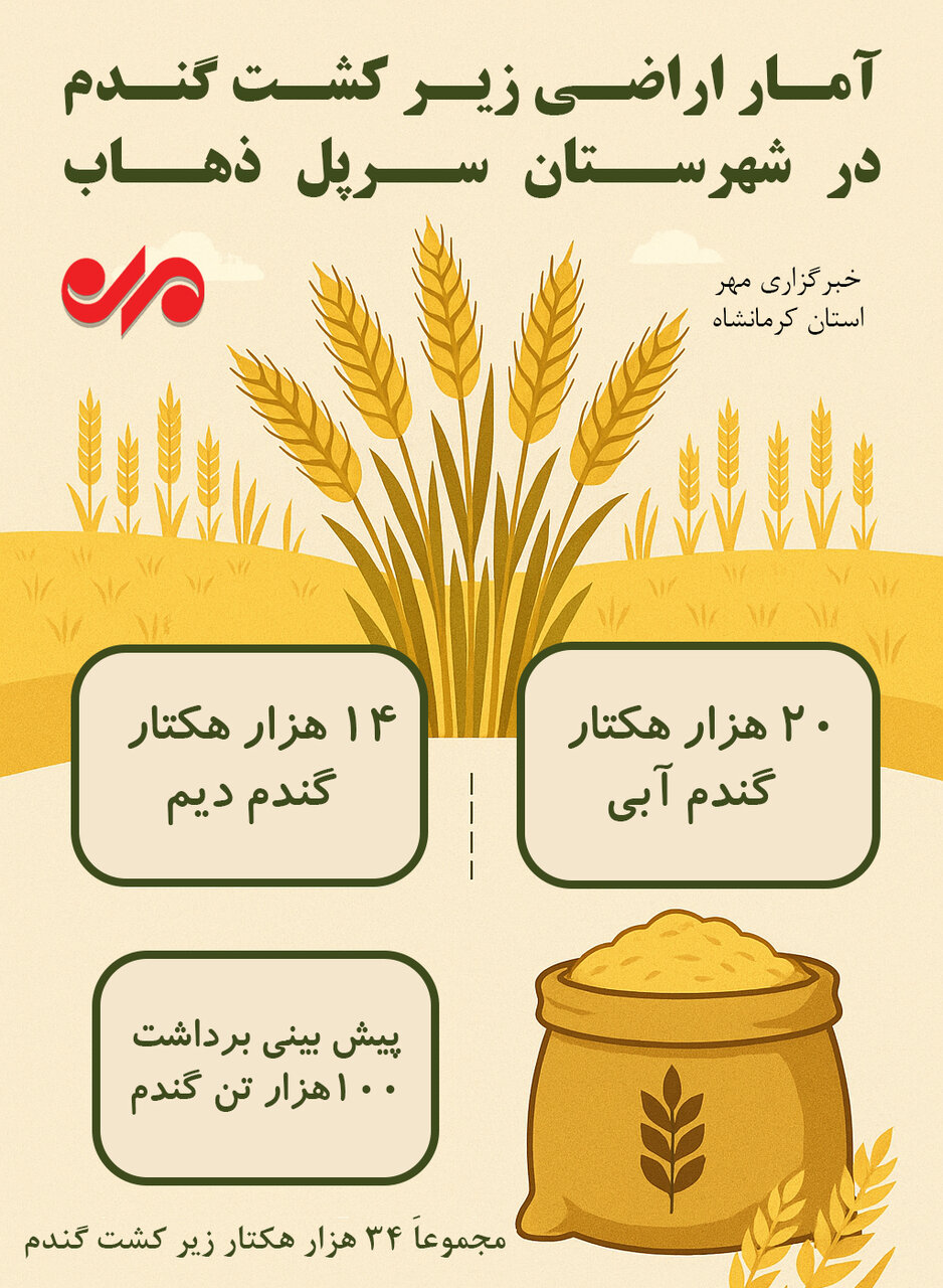 اینفوگرافیک| پیش‌بینی برداشت بیش از ۱۰۰هزار تن گندم از مزارع سرپل‌ذهاب