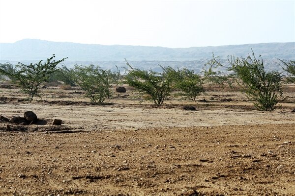 تکرار تراژدی طوفان سیستان در سایه سکوت و بلاتکلیفی مسئولان