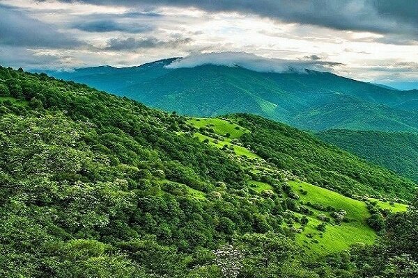 برگزاری نشست تخصصی کارکردها، تنوع زیستی و ارزش گذاری اقتصادی زاگرس