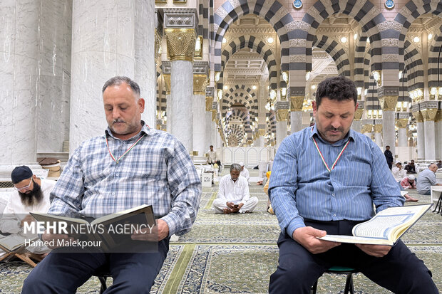 حال و هوای مسجد النبی (ص) در ایام حج